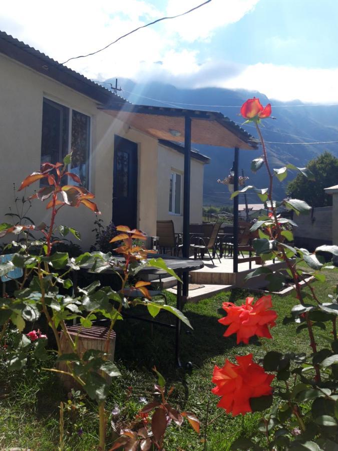 Guest House Elguja Qushashvili 卡兹贝吉 外观 照片