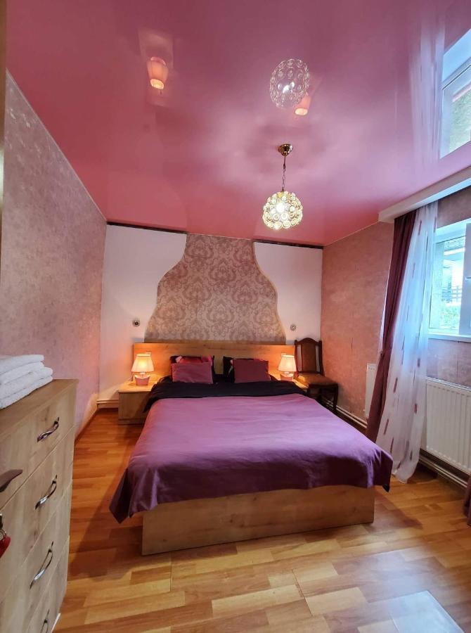 Guest House Elguja Qushashvili 卡兹贝吉 外观 照片