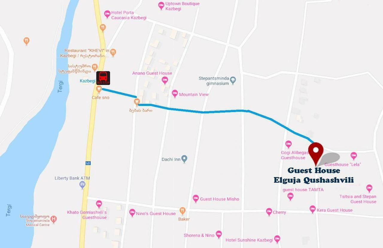 Guest House Elguja Qushashvili 卡兹贝吉 外观 照片